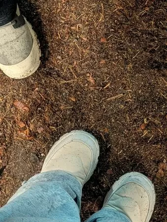 ▲▼夏宇童。(圖/翻攝自Facebook/夏宇童)