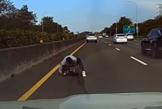 ▲國道北斗路段有駕駛發現狗狗誤闖車道遭撞重傷火速下車救援。(圖/kai8087提供)