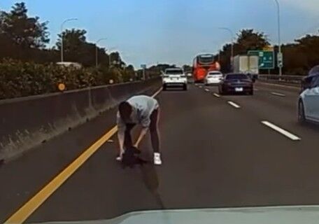 ▲國道北斗路段有駕駛發現狗狗誤闖車道遭撞重傷火速下車救援。(圖/kai8087提供)