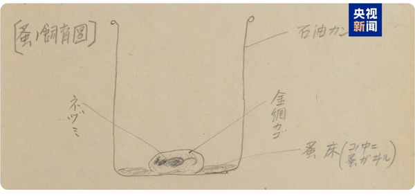 ▲▼ 731、培養跳蚤、細菌戰、活人實驗、馬路大 。(圖/翻攝 央視)