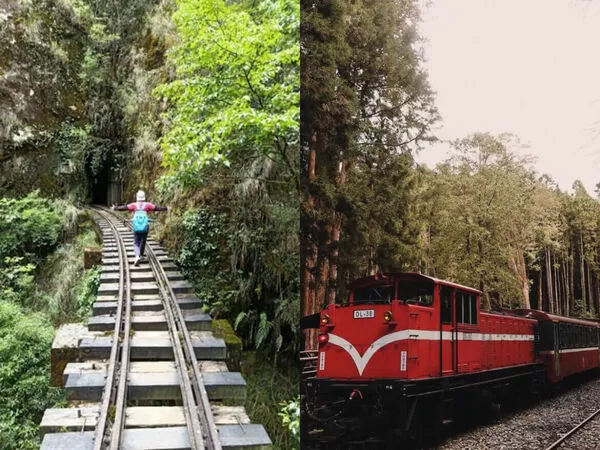 ▲▼阿里山眠月線秘境路線公開。(圖/ReadyGo提供)