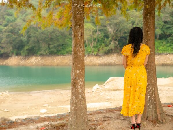 ▲▼全台最美落羽松自行車道。(圖/部落客黑皮提供)