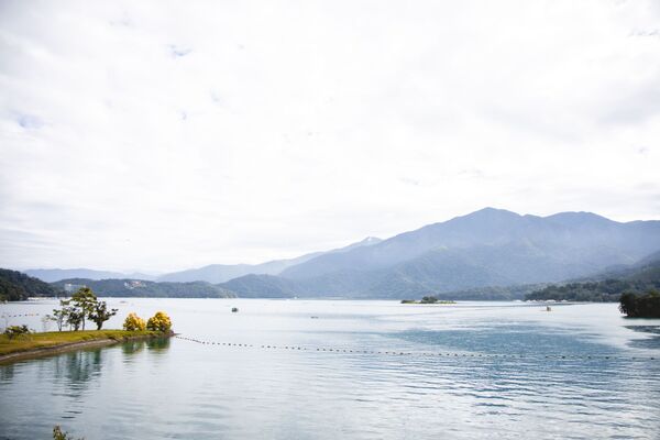 ▲▼全台最美落羽松自行車道。(圖/部落客黑皮提供)