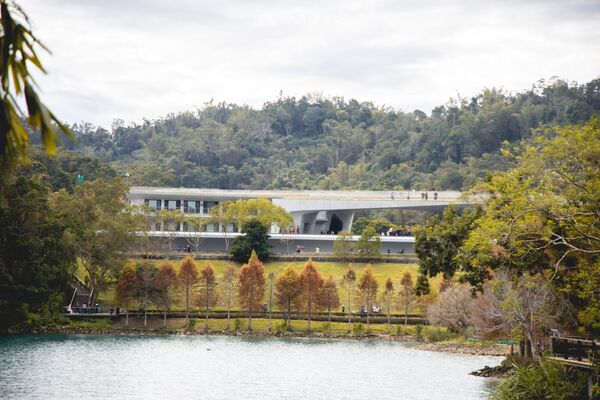 ▲▼全台最美落羽松自行車道。(圖/部落客黑皮提供)