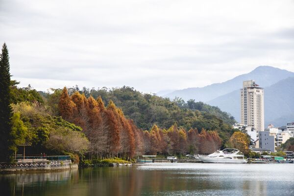 ▲▼全台最美落羽松自行車道。(圖/部落客黑皮提供)