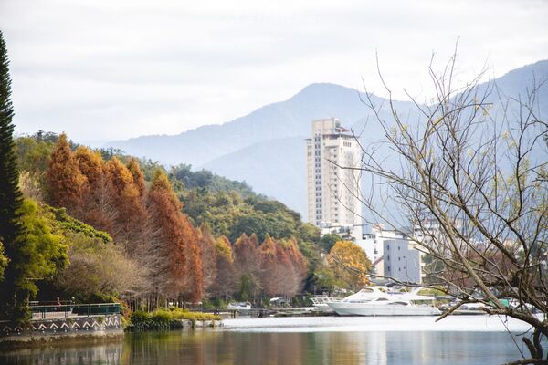 ▲▼全台最美落羽松自行車道。(圖/部落客黑皮提供)
