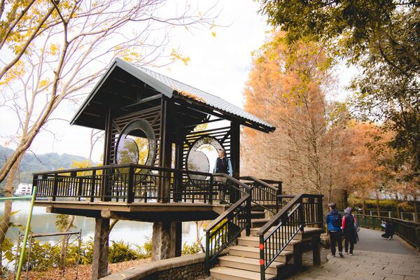 ▲▼全台最美落羽松自行車道。(圖/部落客黑皮提供)