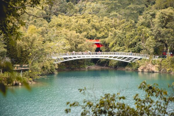 ▲▼全台最美落羽松自行車道。(圖/部落客黑皮提供)