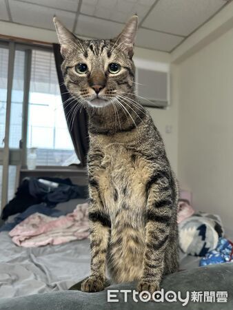 ▲。(圖/Threads@kddh_ql提供,請勿隨意翻拍,以免侵權。)