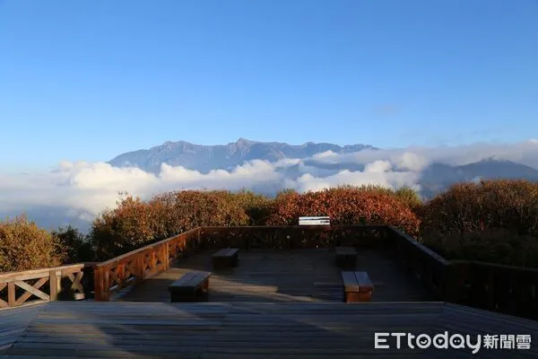 ▲▼ 搶攻農曆春節,阿里山賓館送新春限定「Win -Win森林密馬」福袋,暢玩〈孤獨星球〉旅遊指南必遊鐵道、櫻花主題房早鳥優惠開跑,限時預訂搶粉紅商機 。(圖/阿里山賓館提供)