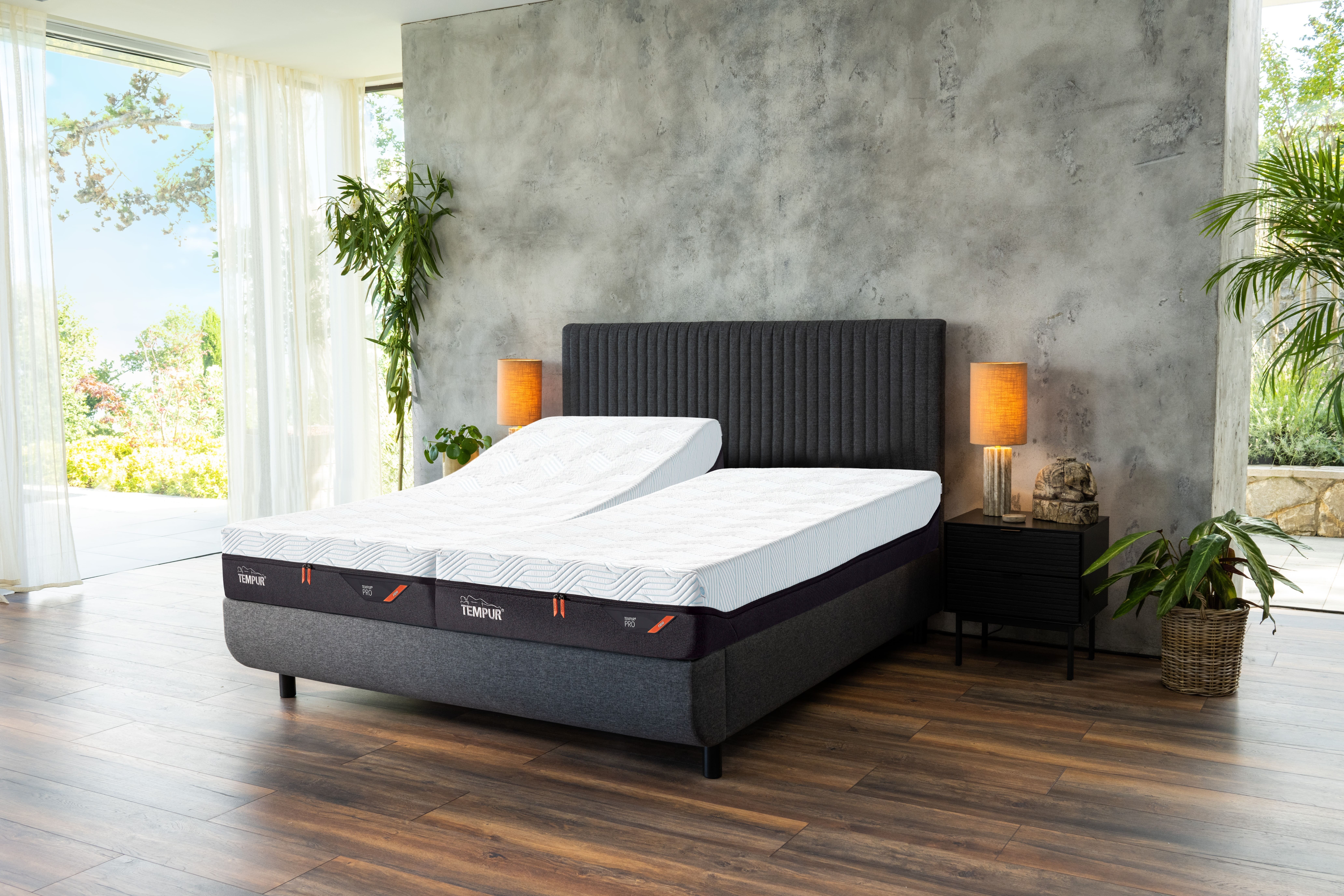 ▲丹普、席伊麗新春優惠。(圖/品牌提供)