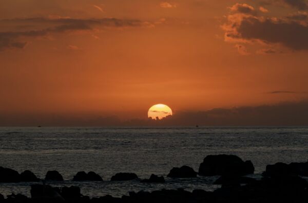 ▲基隆和平島地質公園推出「2026四季旅行票」,單人票只要249元(原價1,510元),便能在2026一整年入園四次,雙人同行更只要400元。(圖/業者提供)