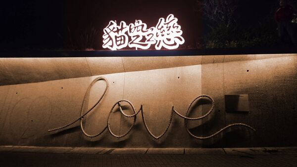 ▲貓空站頂端,12月新設置「Sky Green天空綠洲」觀景平台。(圖/北捷提供)