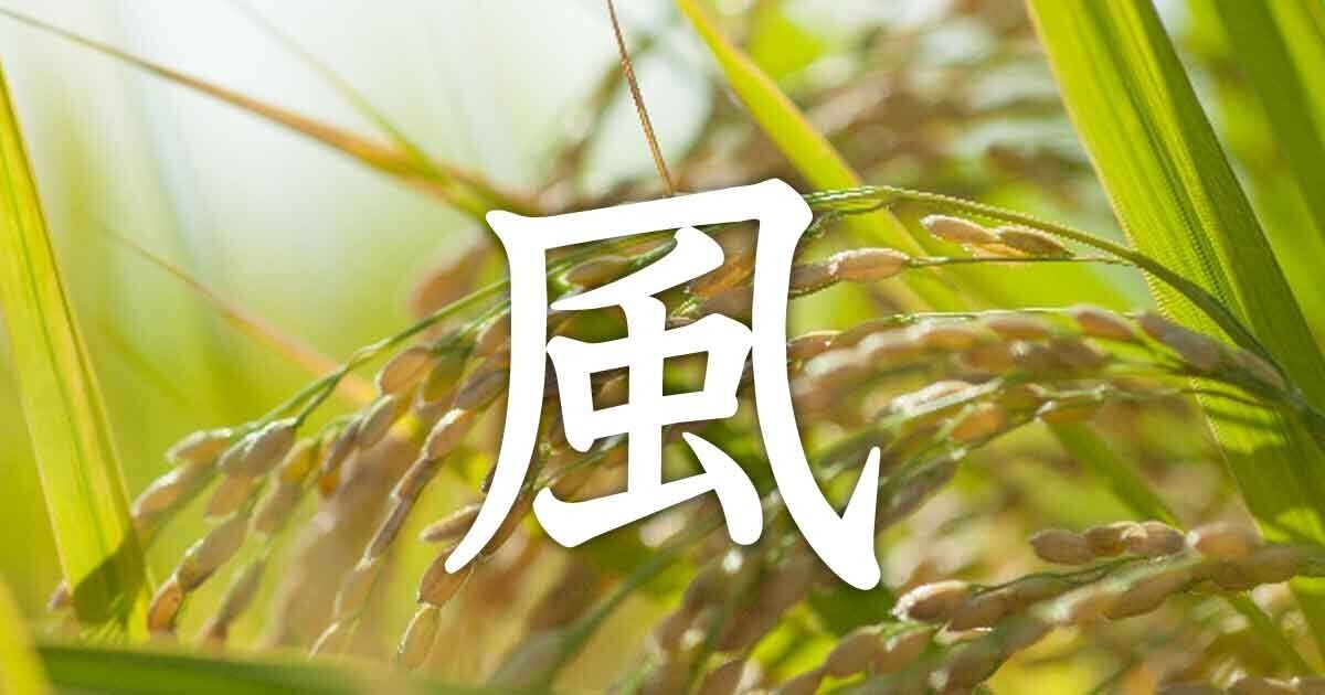 ▲神社測驗 。(圖/美人圈提供)