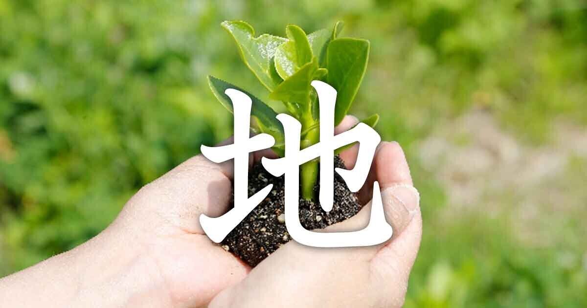 ▲神社測驗 。(圖/美人圈提供)