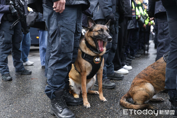 ▲台北市警力出動偵爆犬,維持跨年晚會周邊維安。(圖/記者林敬旻攝)