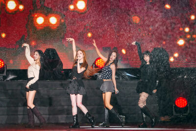 桃園跨年最大咖Apink現身　粉絲大喊「愛」暖勸喝薑湯