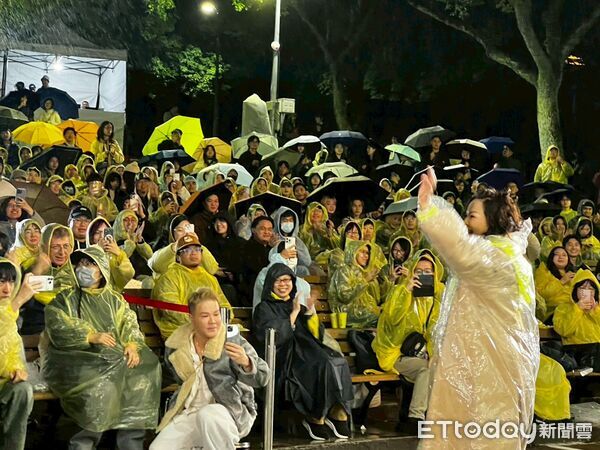 ▲楊貴媚在大安森林公園「邊哭邊跨年」。(圖/讀者提供)