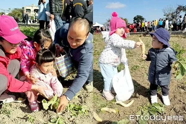 ▲▼太保市公所偕同地方舉辦「拔蘿蔔、迎新春」食農體驗行動。(圖/記者翁伊森翻攝)
