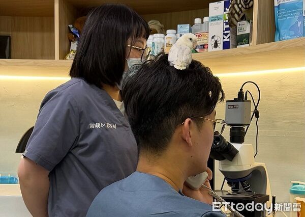 ▲。(圖/Threads@jfz________提供,請勿隨意翻拍,以免侵權)