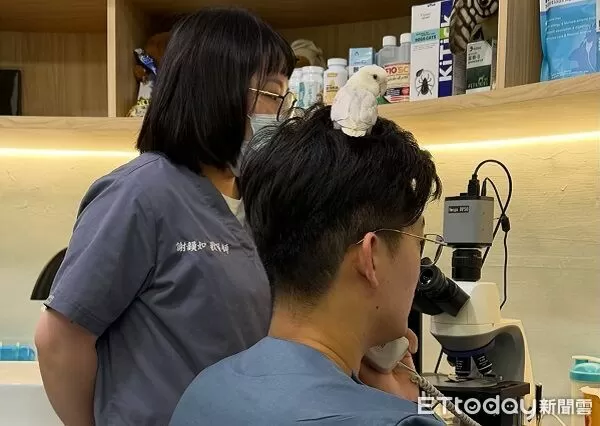 ▲。(圖/Threads@jfz________提供,請勿隨意翻拍,以免侵權)