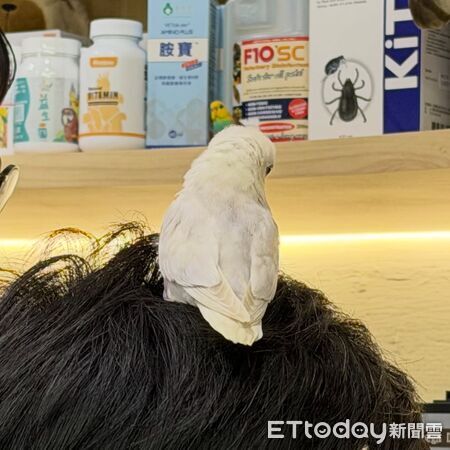 ▲。(圖/Threads@jfz________提供,請勿隨意翻拍,以免侵權)