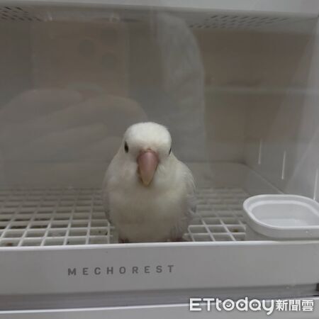 ▲。(圖/Threads@jfz________提供,請勿隨意翻拍,以免侵權)