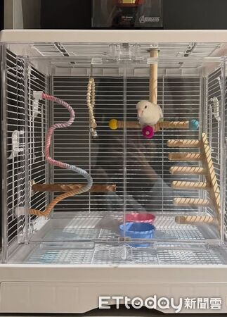 ▲。(圖/Threads@jfz________提供,請勿隨意翻拍,以免侵權)