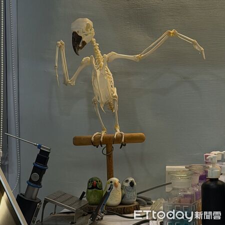 ▲。(圖/Threads@jfz________提供,請勿隨意翻拍,以免侵權)