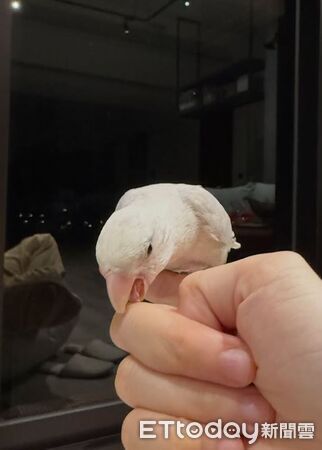 ▲。(圖/Threads@jfz________提供,請勿隨意翻拍,以免侵權)