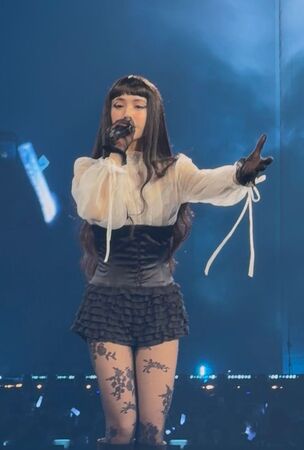 ▲▼ 蔡依林今晚換上新一套valentino訂製服。(圖/讀者提供)