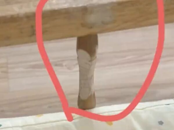 ▲▼陸男童啃爛木床!想像「自己是河狸」。(圖/翻攝微博)