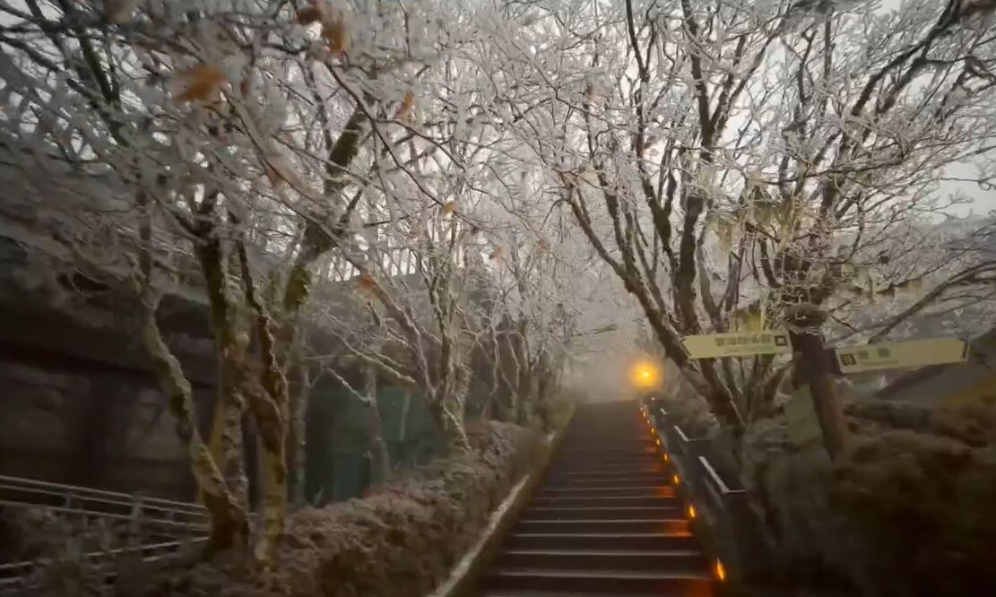 ▲▼太平山遊樂區樹上稍有些霧淞。(圖/記者游芳男翻攝))