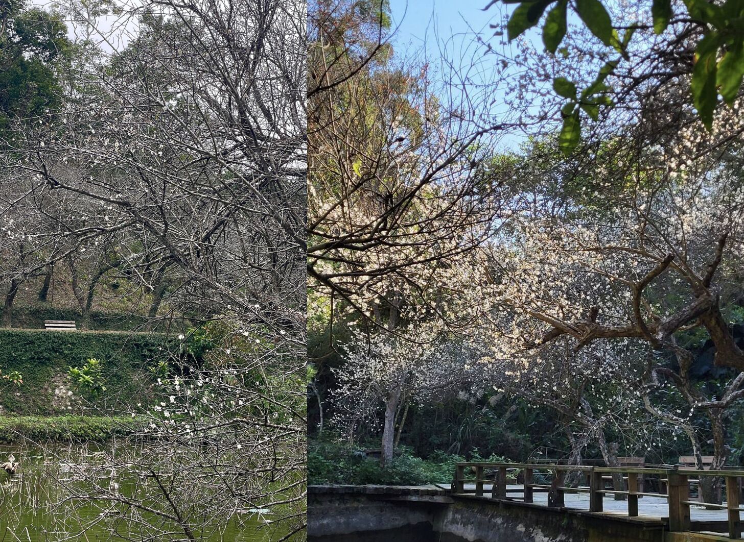 ▲▼華陶窯。(圖/翻攝自華陶窯臉書專頁)