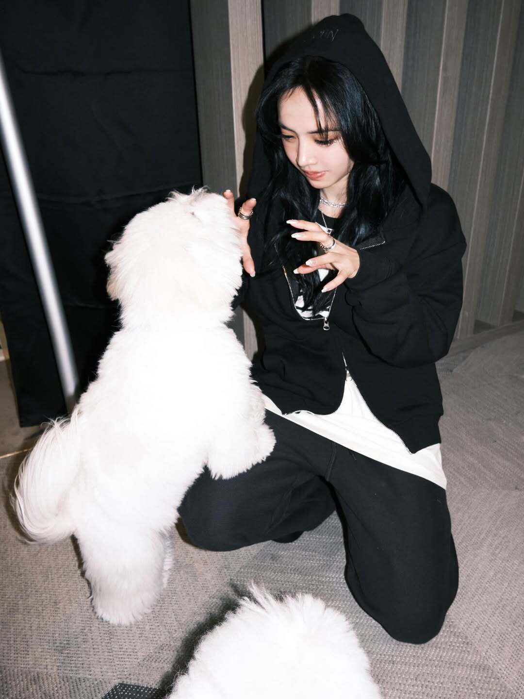 ▲▼蔡依林 。(圖/翻攝IG)