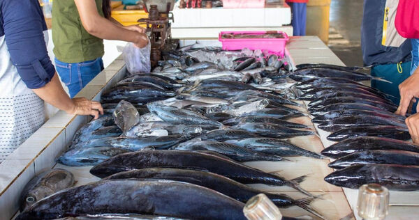 食藥署呼籲民眾吃海鮮要注意是否新鮮,否則小心組織胺中毒。(示意圖/Pixabay)