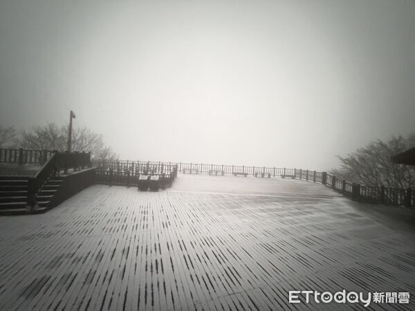 ▲▼太平山遊樂區樹上稍有些霧淞。(圖/記者游芳男翻攝))