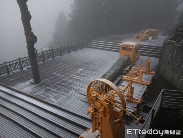 ▲▼太平山遊樂區樹上稍有些霧淞。(圖/記者游芳男翻攝))