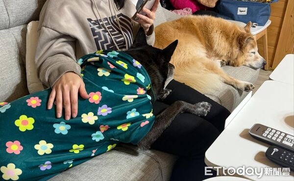 ▲。(圖/Threads@yujing_______提供,請勿隨意翻拍,以免侵權。)