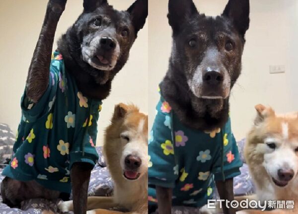 ▲。(圖/Threads@yujing_______提供,請勿隨意翻拍,以免侵權。)