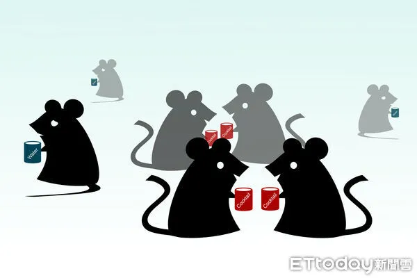 ▲▼ 中研院食療 。(圖/薛一平教授提供)