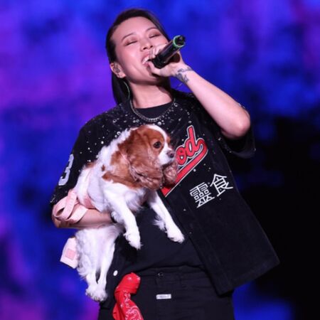 ▲▼葛仲珊唱台東跨年抱愛犬上台。(圖/翻攝自IG)