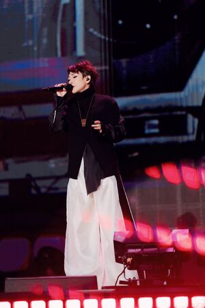 ▲▼林憶蓮跨年在在深圳灣體育中心開唱。(圖/索尼音樂提供)