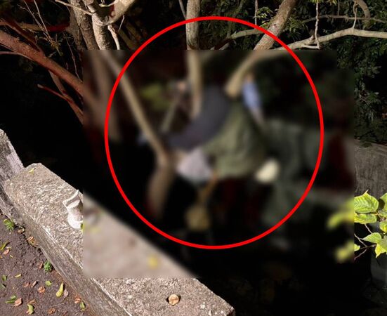 ▲彰化女騎士不明原因噴飛到圳溝內卡樹幹中命危送醫。(圖/民眾提供)