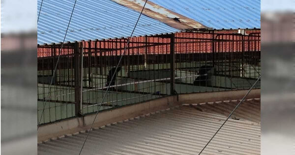 海獅、海豹宿舍位於舞台後方,每隻動物卻只能分到約2坪大的空間,對高智商的牠們來說宛如酷刑。(圖/讀者提供)