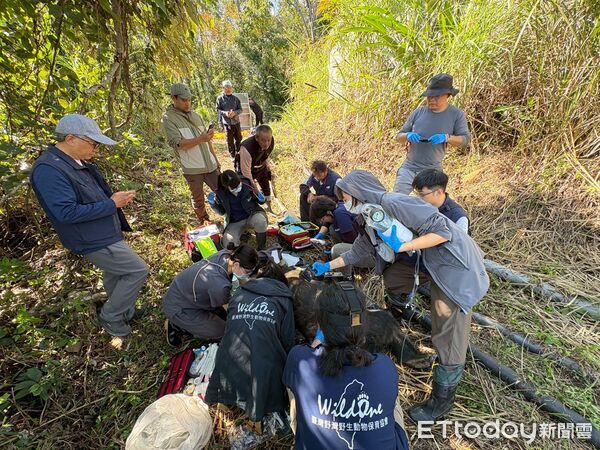 ▲▼林業保育署首度運用無人機空中即時定位,並搭載遠端遙控電子引信、可12連發之模組化高爆音沖天炮發射架,以聲光系統震撼驅離。(圖/花蓮分署提供,下同)