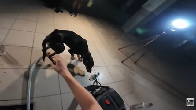 ▲▼廢棄商場探險「聽見詭異低吼聲」 YTer循聲找到結局竟然超溫馨。(圖/翻攝YouTube)