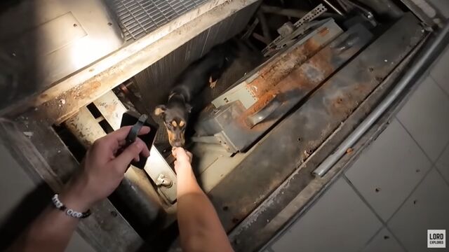 ▲▼廢棄商場探險「聽見詭異低吼聲」 YTer循聲找到結局竟然超溫馨。(圖/翻攝YouTube)