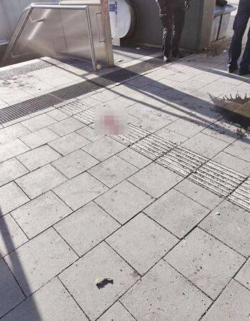 ▲▼陸男德國車站被打 反擊導致對方鎖骨骨折、頭破血流。(圖/翻攝微博)