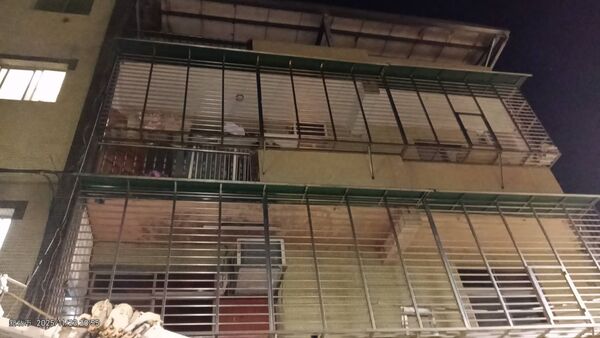 新莊臘腸狗墜樓。(圖/新北市動保處提供)